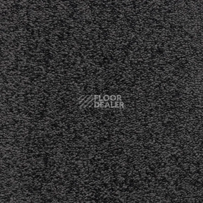 Ковролин Bonkeel Parliament Black фото 1 | FLOORDEALER